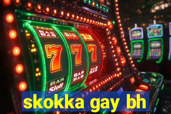 skokka gay bh